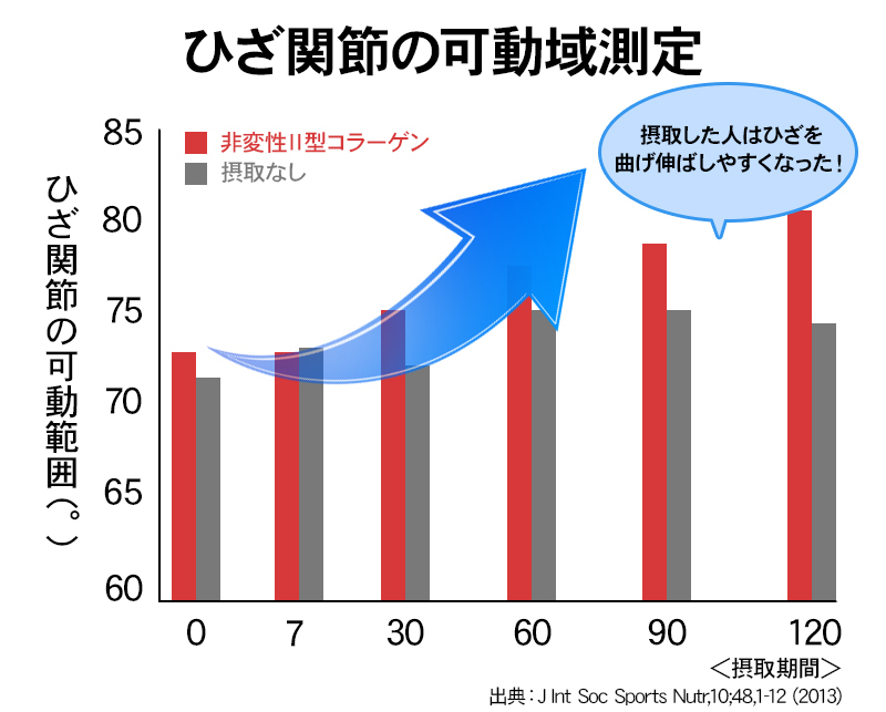 ひざ関節の可動域測定