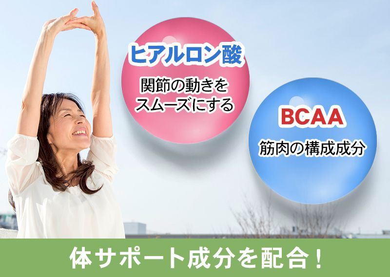 体サポート成分を配合！　ヒアルロン酸　BCAA